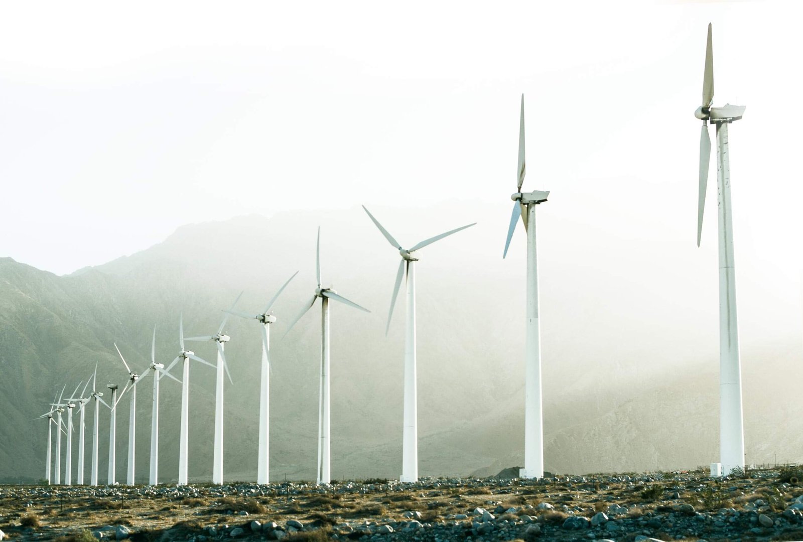 white and blue solar panels
